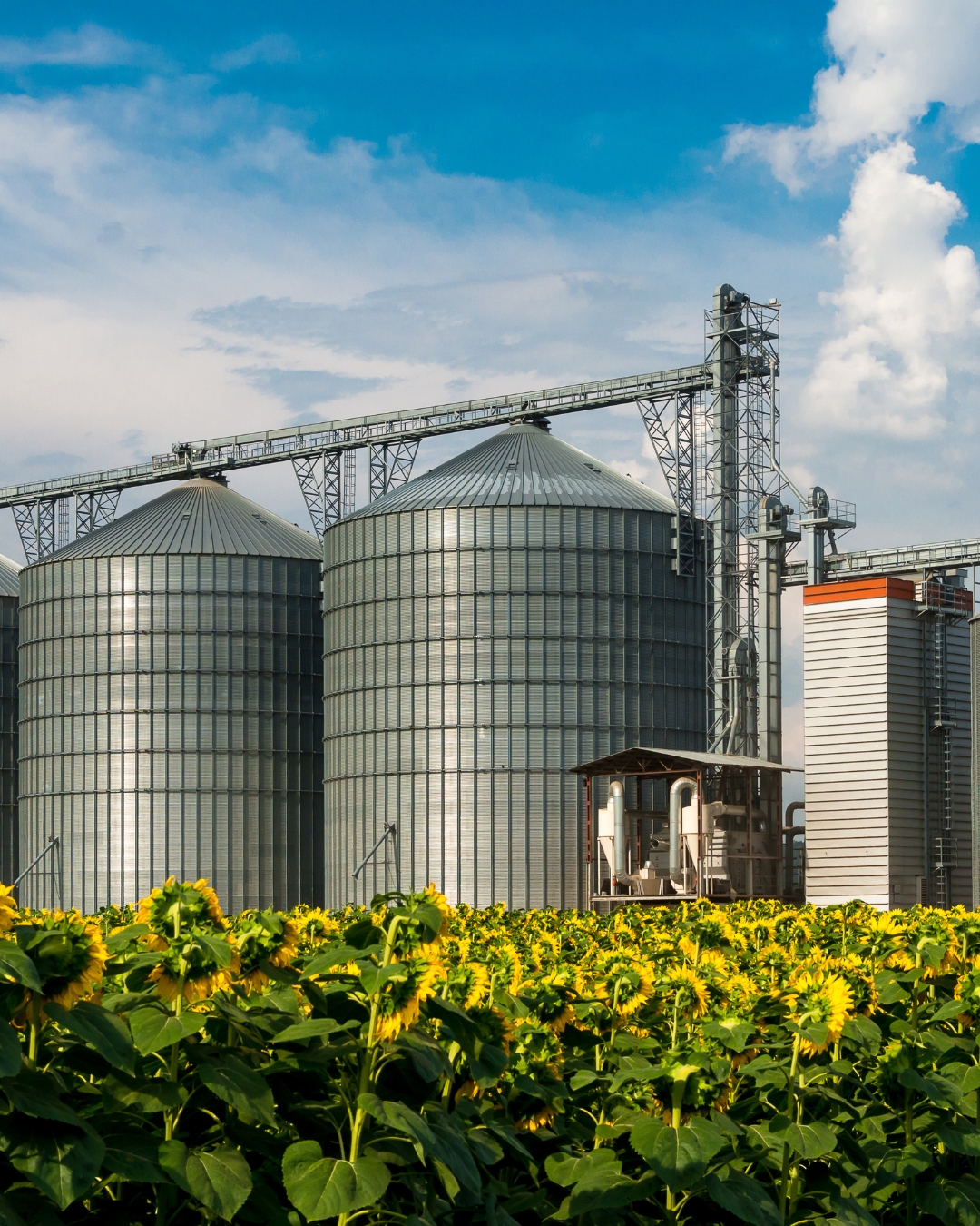Zeolit za industrijsku primenu